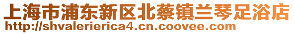 上海市浦東新區(qū)北蔡鎮(zhèn)蘭琴足浴店