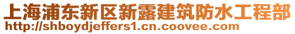 上海浦東新區新露建筑防水工程部