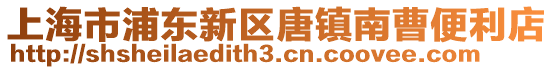 上海市浦東新區唐鎮南曹便利店