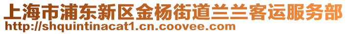 上海市浦東新區金楊街道蘭蘭客運服務部