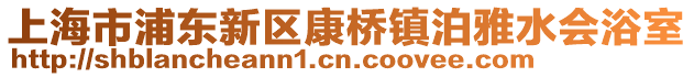 上海市浦東新區康橋鎮泊雅水會浴室