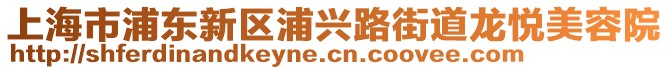上海市浦東新區(qū)浦興路街道龍悅美容院