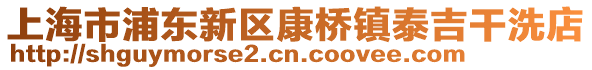 上海市浦東新區康橋鎮泰吉干洗店