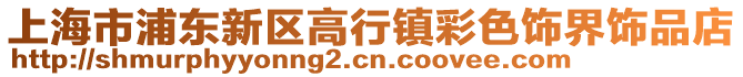 上海市浦東新區高行鎮彩色飾界飾品店