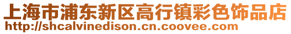 上海市浦東新區高行鎮彩色飾品店