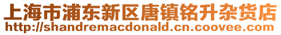 上海市浦東新區唐鎮銘升雜貨店