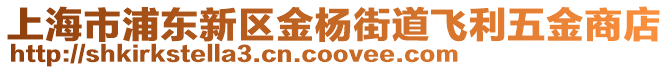 上海市浦東新區金楊街道飛利五金商店