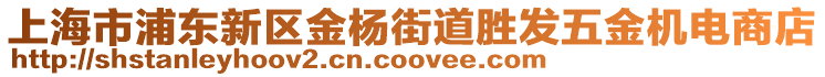 上海市浦東新區金楊街道勝發五金機電商店