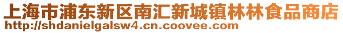 上海市浦東新區南匯新城鎮林林食品商店