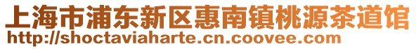 上海市浦東新區惠南鎮桃源茶道館