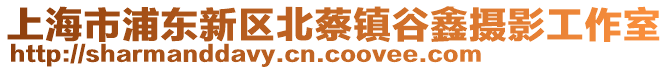 上海市浦東新區(qū)北蔡鎮(zhèn)谷鑫攝影工作室