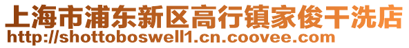 上海市浦東新區高行鎮家俊干洗店