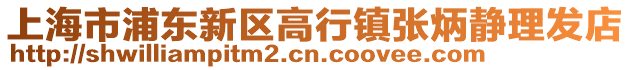 上海市浦東新區(qū)高行鎮(zhèn)張炳靜理發(fā)店