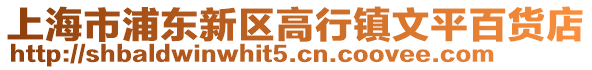 上海市浦東新區高行鎮文平百貨店