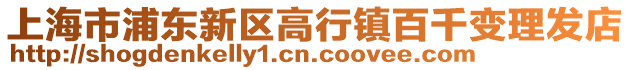 上海市浦東新區高行鎮百千變理發店