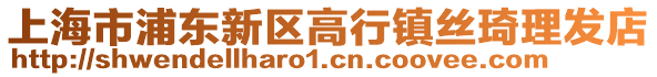 上海市浦東新區(qū)高行鎮(zhèn)絲琦理發(fā)店
