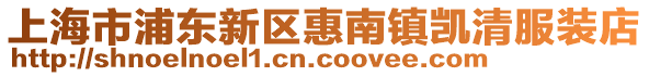 上海市浦東新區(qū)惠南鎮(zhèn)凱清服裝店