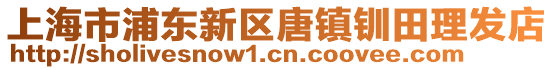 上海市浦東新區(qū)唐鎮(zhèn)釧田理發(fā)店