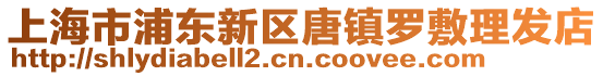 上海市浦東新區(qū)唐鎮(zhèn)羅敷理發(fā)店