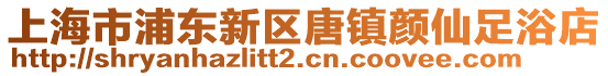 上海市浦東新區(qū)唐鎮(zhèn)顏仙足浴店