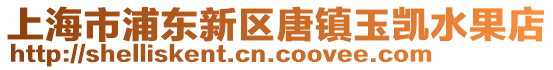 上海市浦東新區(qū)唐鎮(zhèn)玉凱水果店