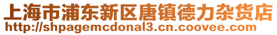 上海市浦東新區唐鎮德力雜貨店