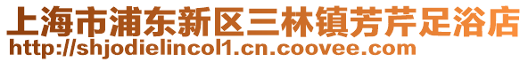 上海市浦東新區三林鎮芳芹足浴店