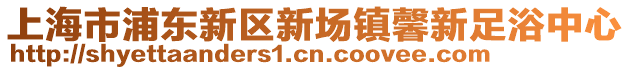 上海市浦東新區新場鎮馨新足浴中心