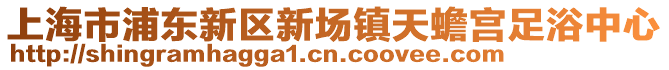 上海市浦東新區新場鎮天蟾宮足浴中心