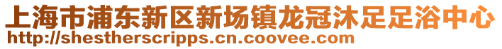 上海市浦東新區新場鎮龍冠沐足足浴中心