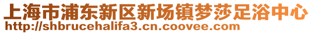 上海市浦東新區新場鎮夢莎足浴中心
