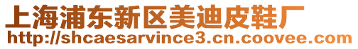 上海浦東新區(qū)美迪皮鞋廠