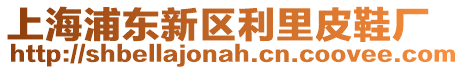 上海浦東新區利里皮鞋廠