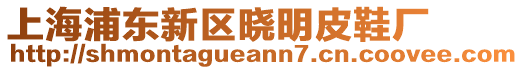 上海浦東新區(qū)曉明皮鞋廠