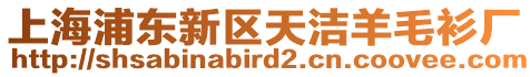 上海浦東新區天潔羊毛衫廠