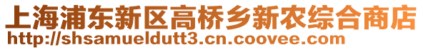 上海浦東新區高橋鄉新農綜合商店