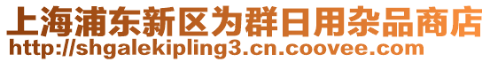 上海浦東新區(qū)為群日用雜品商店