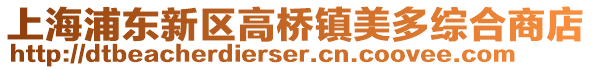 上海浦東新區高橋鎮美多綜合商店