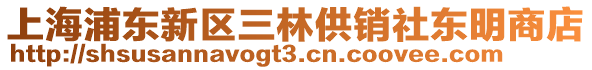 上海浦東新區(qū)三林供銷社東明商店