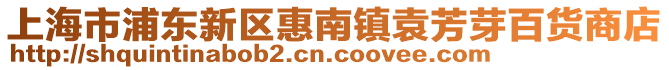 上海市浦東新區(qū)惠南鎮(zhèn)袁芳芽百貨商店