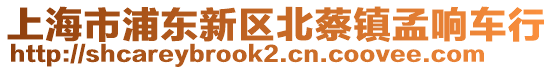 上海市浦東新區北蔡鎮孟響車行