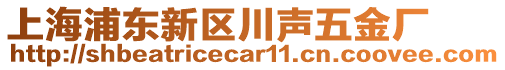 上海浦東新區(qū)川聲五金廠