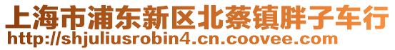 上海市浦東新區北蔡鎮胖子車行