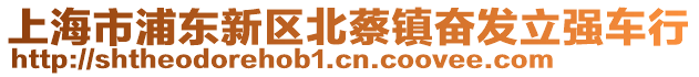 上海市浦東新區(qū)北蔡鎮(zhèn)奮發(fā)立強車行