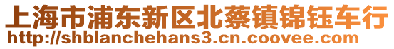 上海市浦東新區(qū)北蔡鎮(zhèn)錦鈺車行