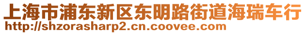 上海市浦東新區東明路街道海瑞車行