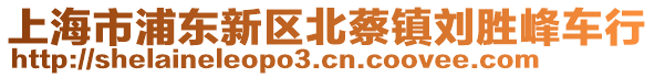 上海市浦東新區北蔡鎮劉勝峰車行