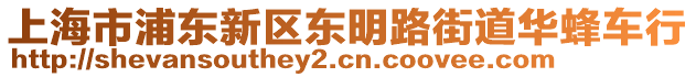 上海市浦東新區(qū)東明路街道華蜂車行