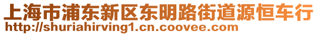 上海市浦東新區東明路街道源恒車行