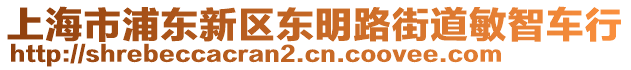 上海市浦東新區東明路街道敏智車行
